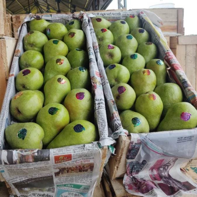 Pear