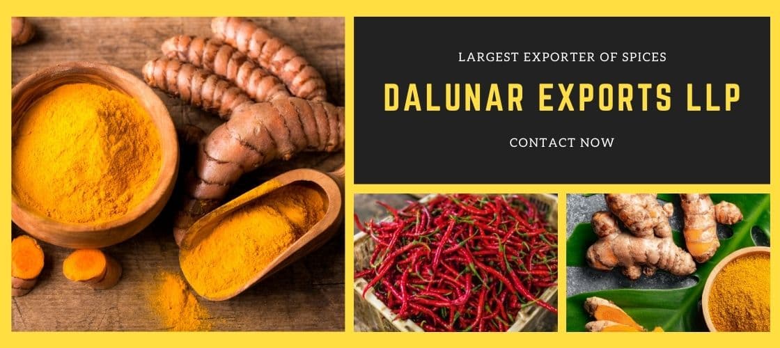 DALUNAR EXPORTS LLP Banner 2