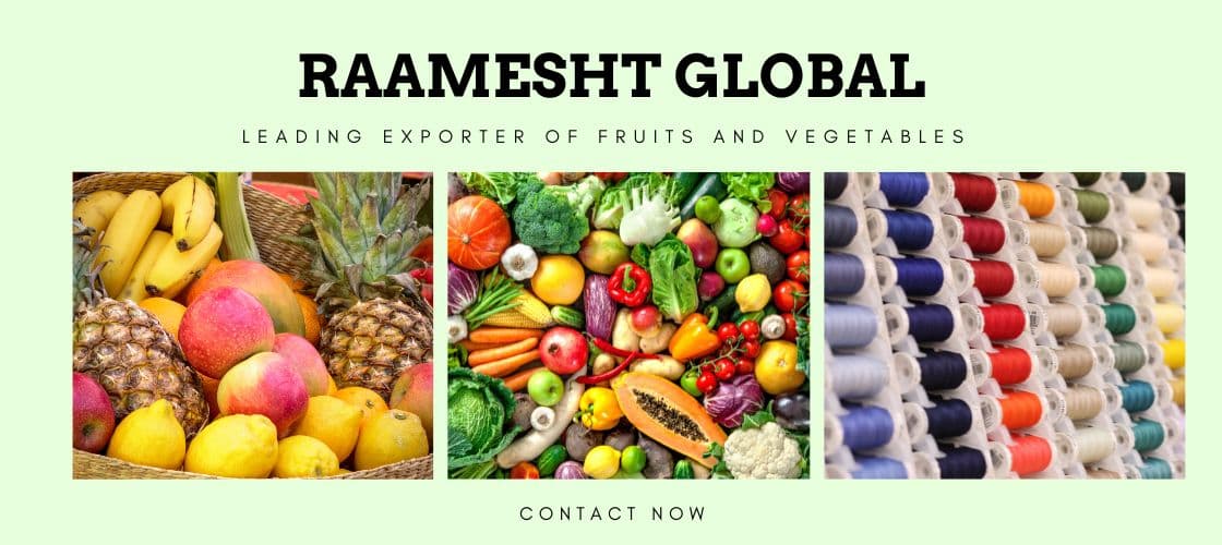RAAMESHT GLOBAL Banner 2