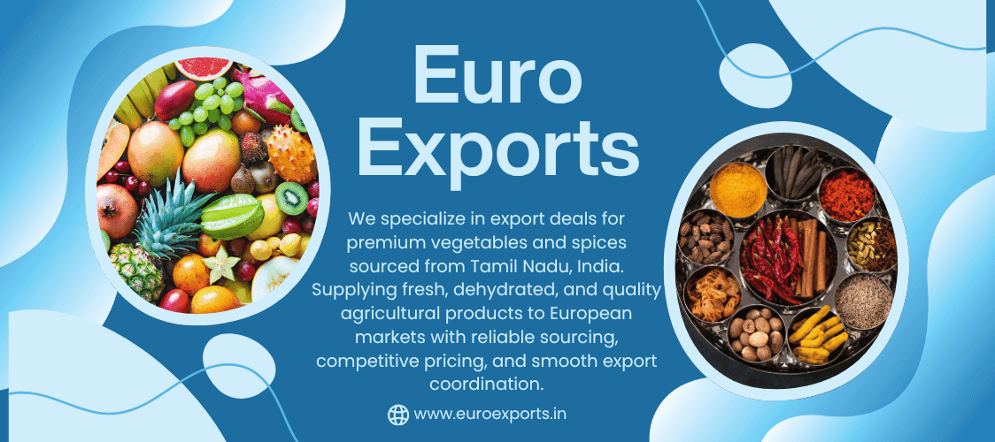EURO EXPORTS Banner