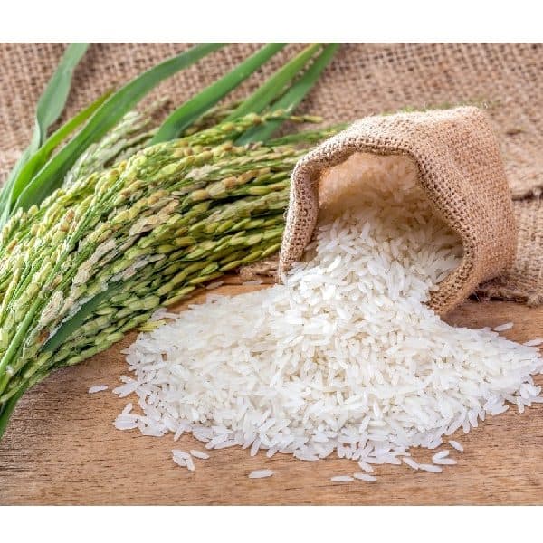 Rice
