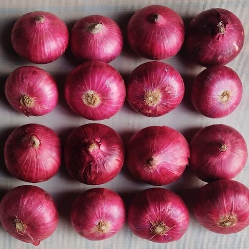 Onion