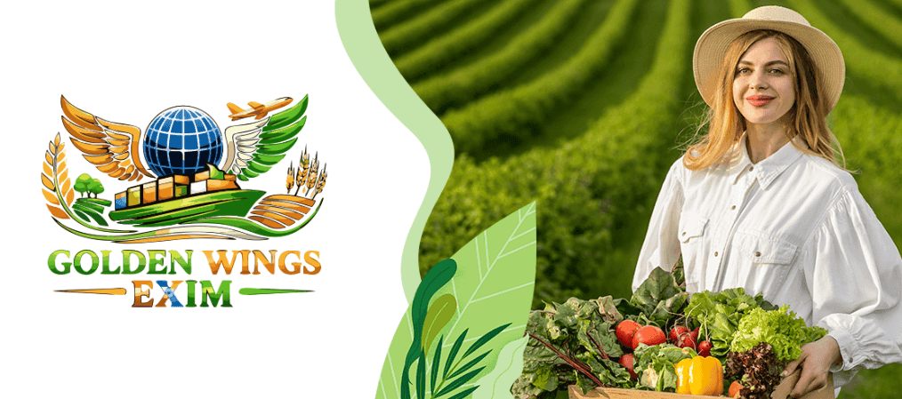 Golden Wings Exim Banner