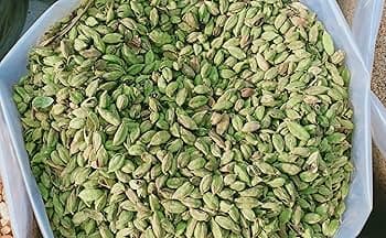 Gallery image 4 - MALABAR ORIGIN EXPORTS