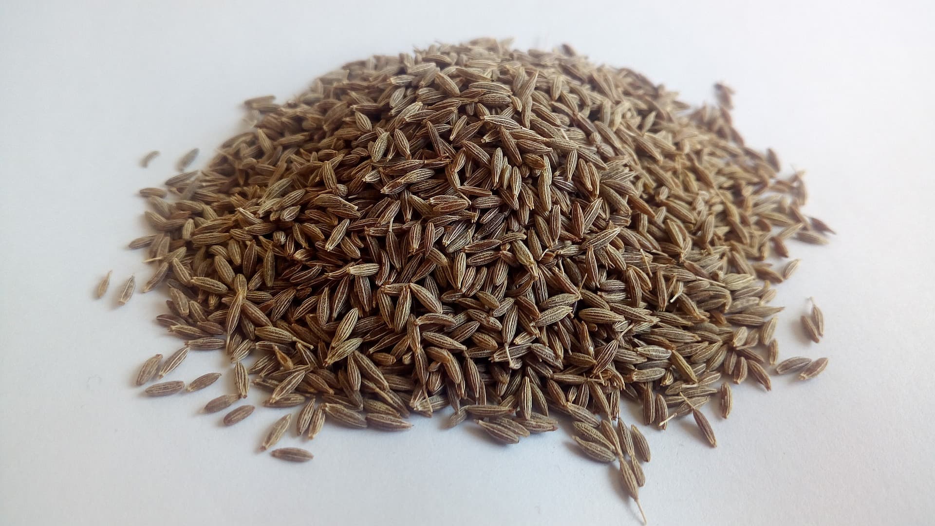 Cumin seeds