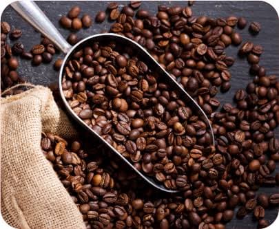 Arakku Coffee Beans