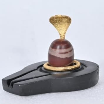 Shivling Jaladhari Naag