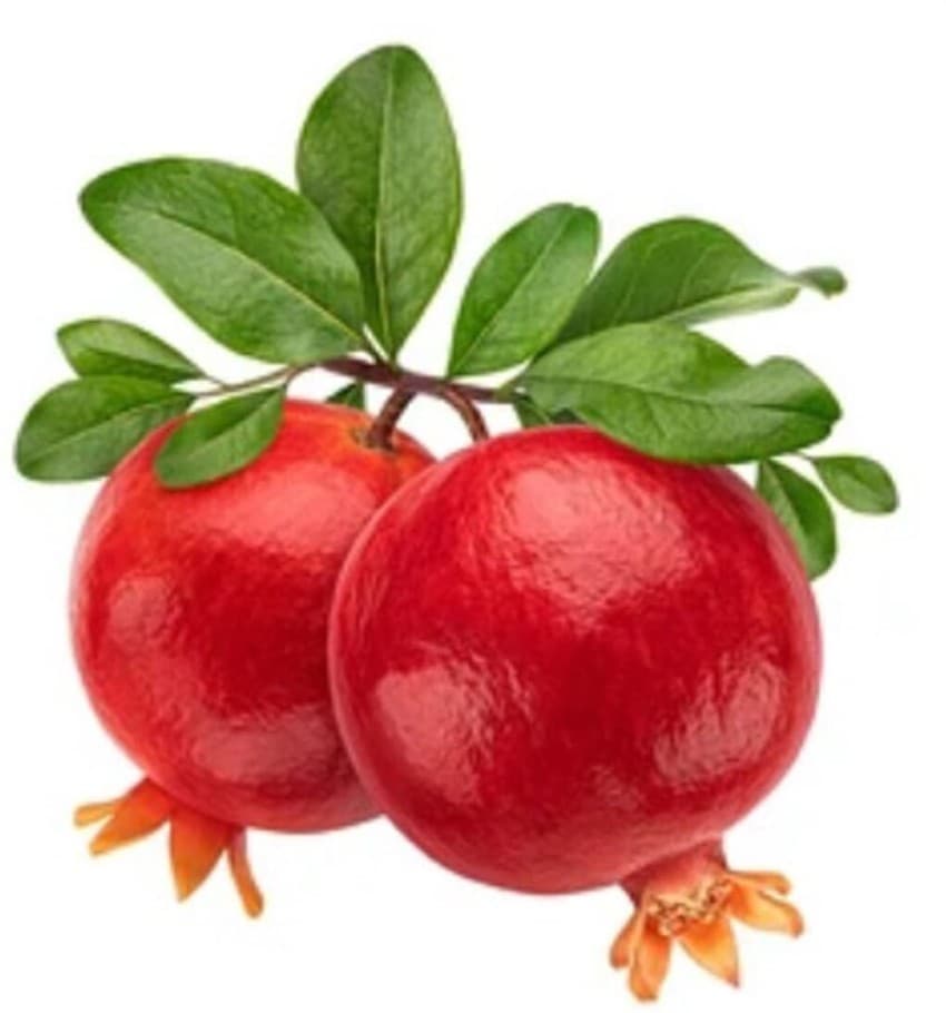 pomegranate