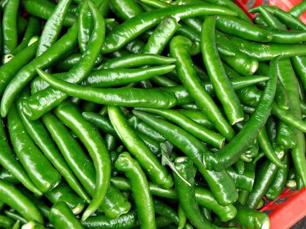 GREEN CHILLI