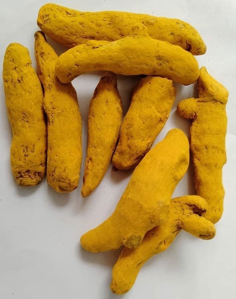 Fresh Turmeric
