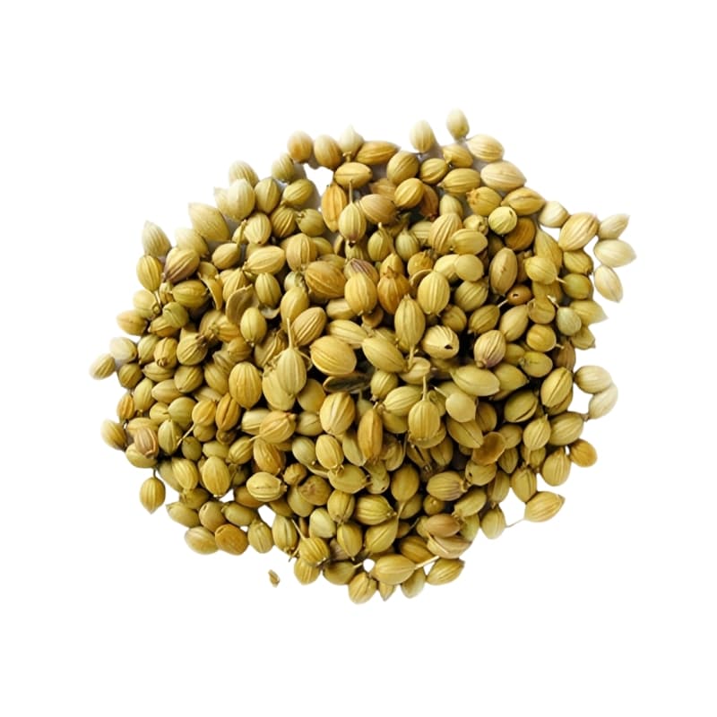 fresco coriander