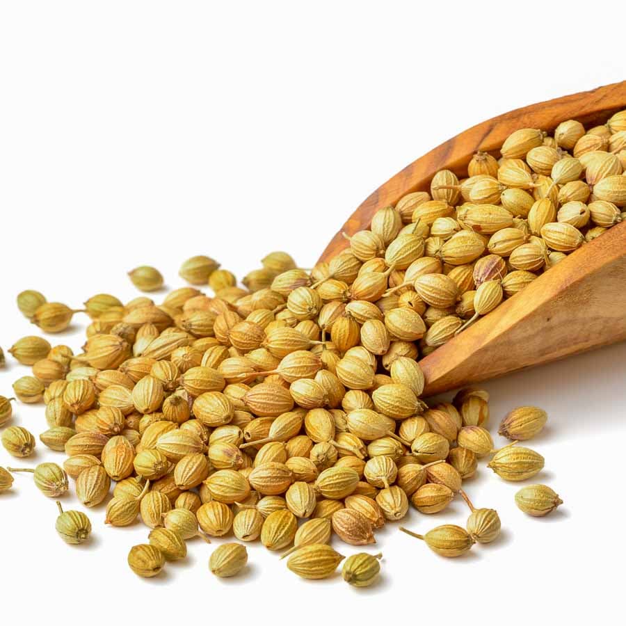 Coriander seed