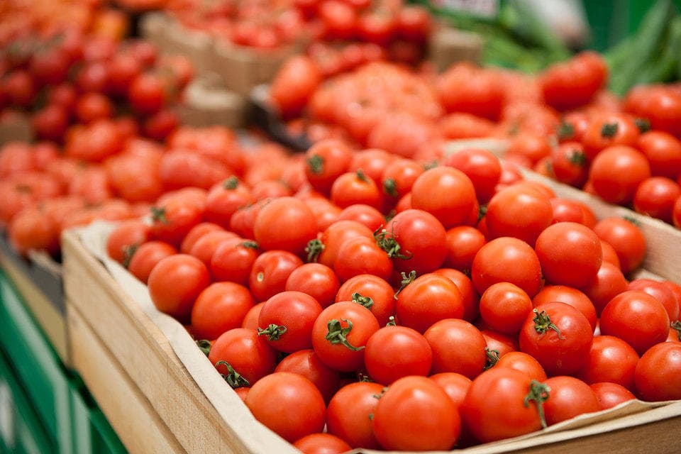 Tomato