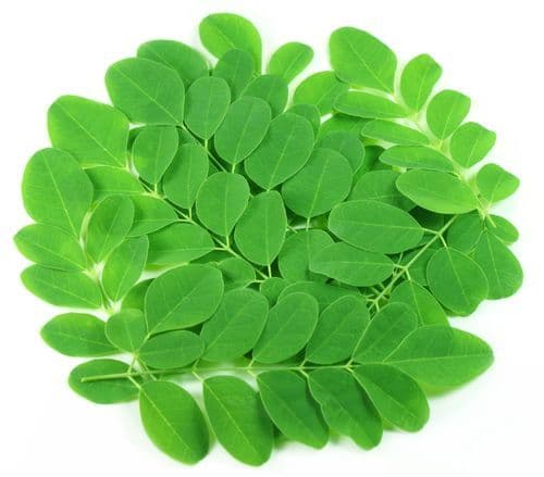 Moringa leaves