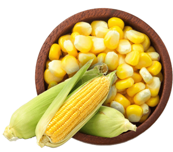 Yellow Maize