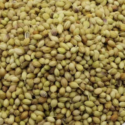 Coriander Seeds For Europe