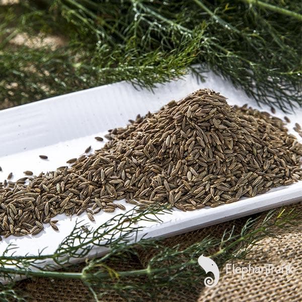 Cumin Seeds Indian