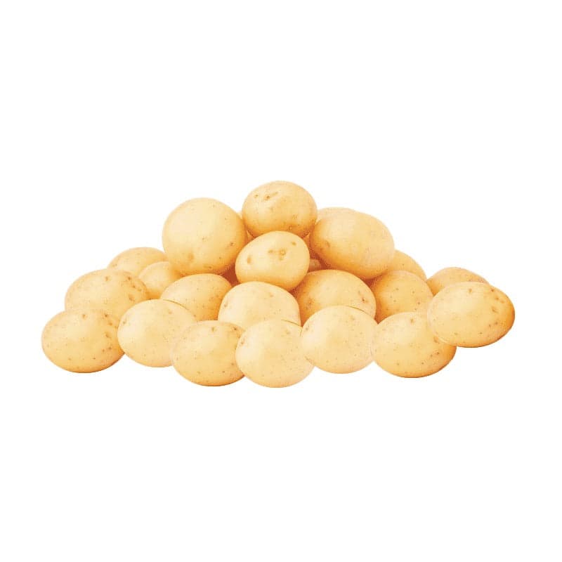 POTATO