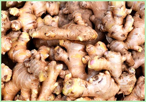ginger