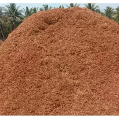 Coconut Peat