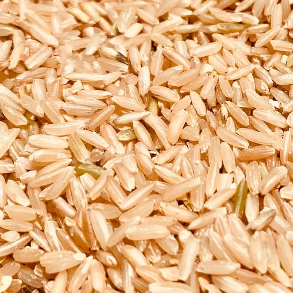 SLO Rice