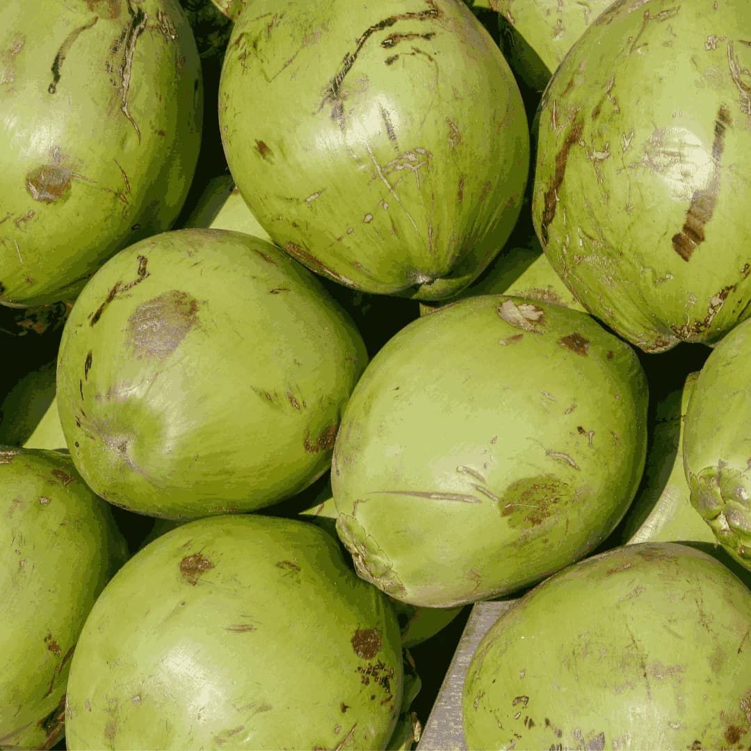 tender coconut