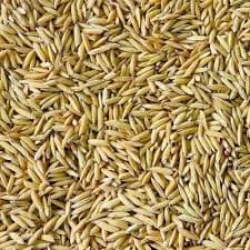 Basmati rice