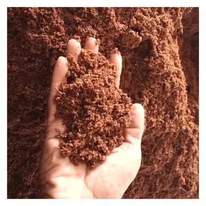 Coconut Peat