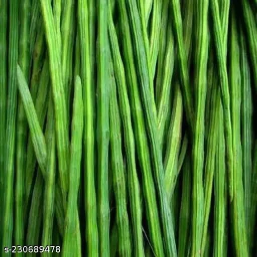 Drumsticks (Moringa)