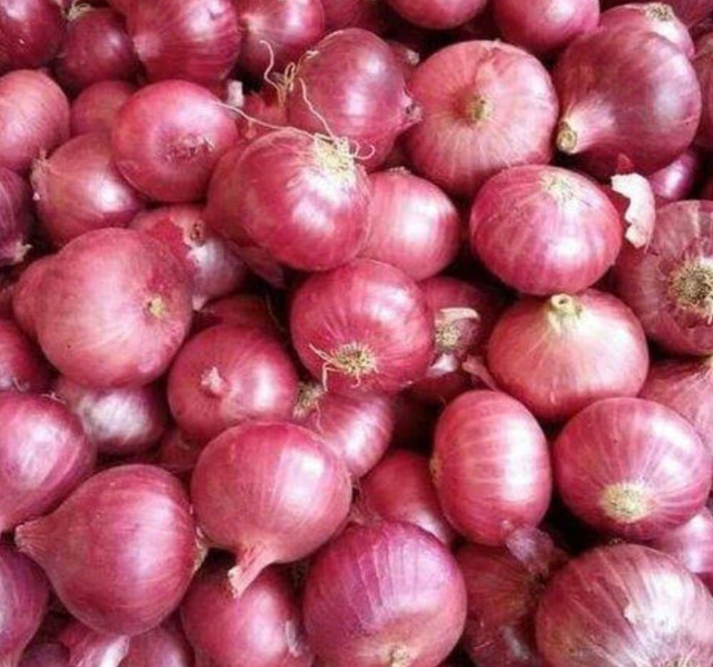 Onion