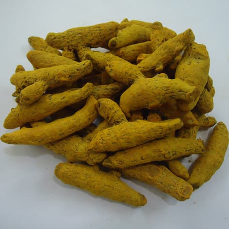 Fresh Turmeric