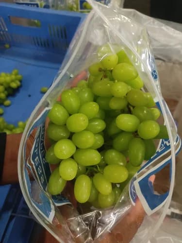 Grapes