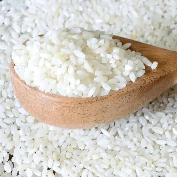 Rice