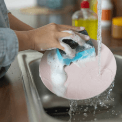 Dish Wash
