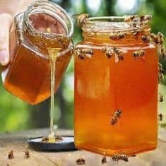Honey