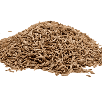CUMIN SEED