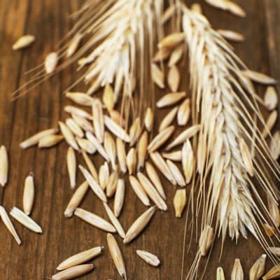 Rye