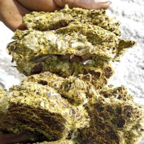 Cotton Seed Oilcake