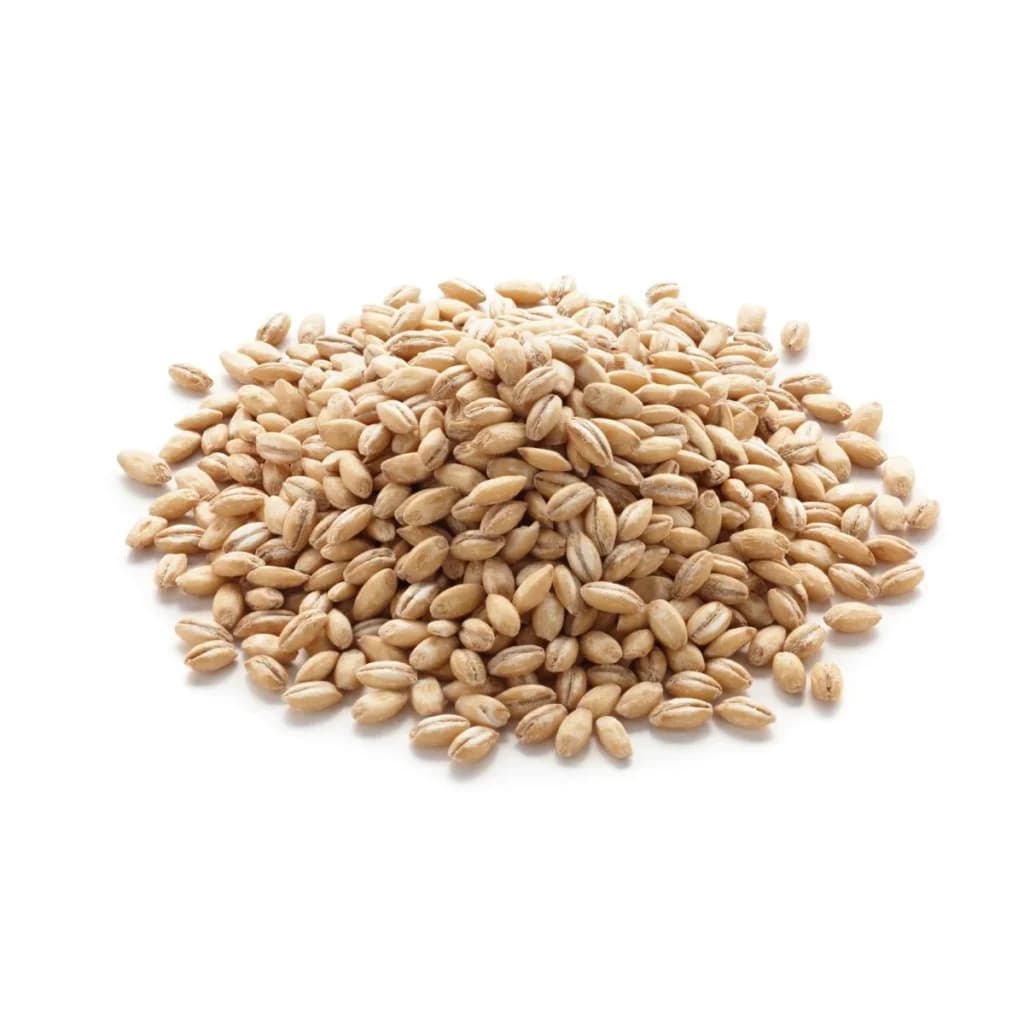 Barley