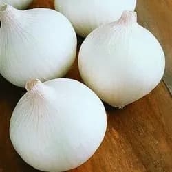 white onion