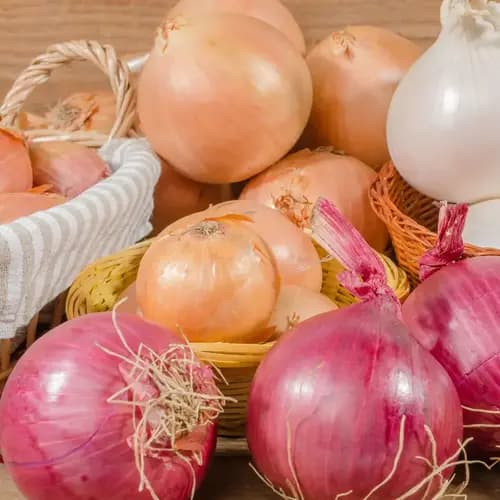 Onion