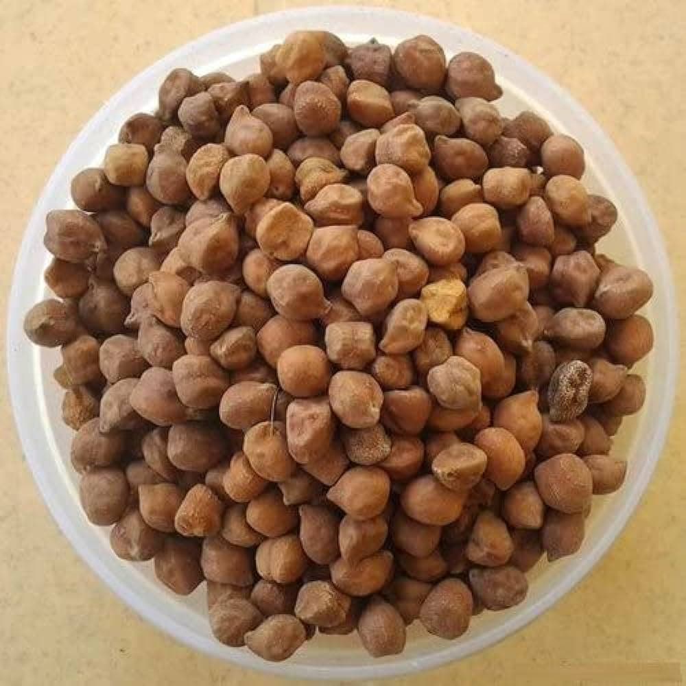 Chana