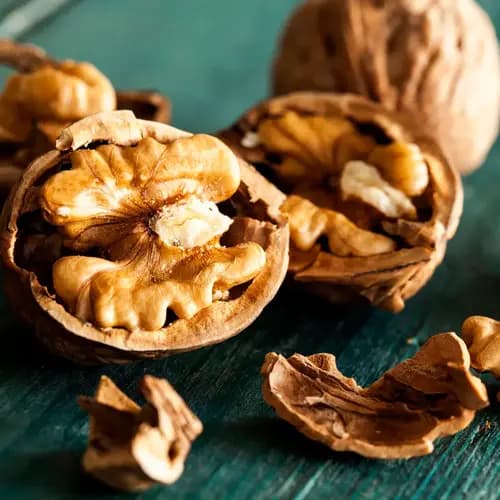 walnut