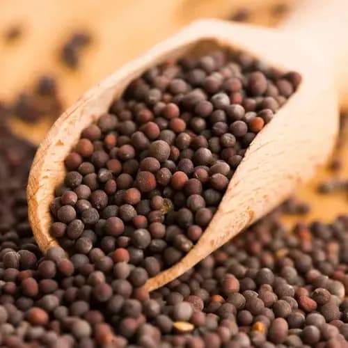 Mustard seeds