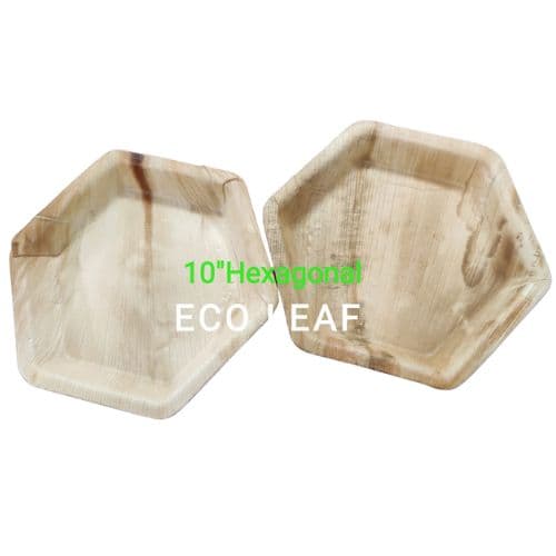 Disposable Plate 10 Hexagonal