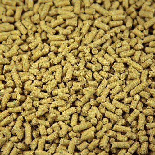 cattle feed