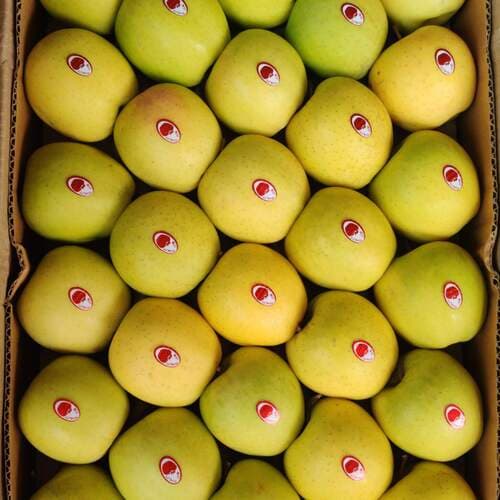 Green Apple
