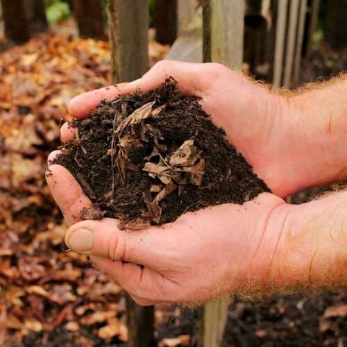Leaf Compost