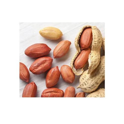 Peanut