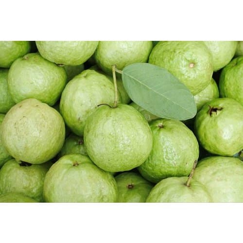 guava